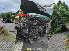Siłą uderzenia wyrwał drzewo z korzeniami. Niebezpieczna kolizja na Śląsku