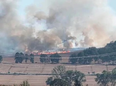 Ogień strawił ponad 20 hektarów upraw. Groźny pożar pod Jerzmanicami-Zdrojem