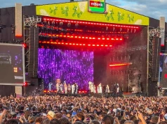 Interwencja policji na Łódź Summer Festival. Funkcjonariuszy obrzucono butelkami i kamieniami