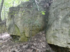 Skałka pod Ogonem w Długoszynie - dolomity sprzed 205 mln lat