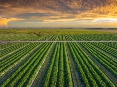 Poprawa stanu gleb o 10 proc. pomogłaby wyżywić dodatkowe 70 mln osób
