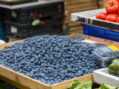 Podbijają półki i gazetki. Kilogram jest teraz najtańszy
