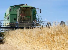 Kombajn burmistrza wywołał olbrzymi pożar. Spłonęło już 26 tys. hektarów lasów