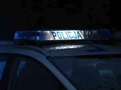 Wypadek nad Jeziorem Kierskim. Samochód potrącił kobietę i wjechał do wody