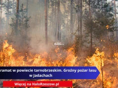 Nocny dramat w powiecie tarnobrzeskim. Groźny pożar lasu w Jadachach