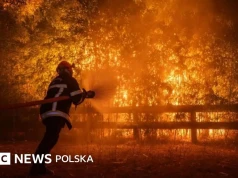 Pożar zagraża Bordeaux, ponad 300 000 osób zmuszonych do ewakuacji we Francji i Hiszpanii