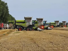 Kietrz zaprezentuje hodowlę bydła i soję. Rolnictwo 4.0 w dużej skali