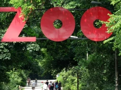 W zoo w Warszawie pojawił się Sernik. Tak zadecydowali internauci