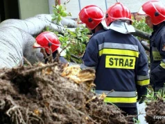 Nawałnice przeszły nad Podkarpaciem. Strażacy usuwają powalone drzewa i uszkodzone linie