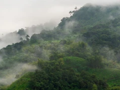 Rekordowe pożary trawią Europę zachodnią. Tymczasem Amazonia odwraca niebezpieczny trend