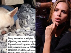 Pactwa nagłośniła atak na jej psa na spacerze. "Trzy rany szyte". Ekspertki tłumaczą, jak się bronić