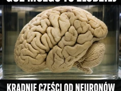 Guz mózgu odpalił tryb złomiarza