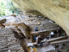 Ukryte stanowisko pokazuje kluczowy moment w dziejach ludzkości. Archeolodzy znaleźli ślady narodzin rolnictwa