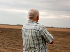 Ceny w skupach runęły. Są tylko dwa wyjątki