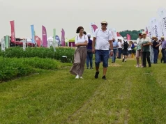 Te odmiany zbóż mają dawać wysoki plon mimo suszy. DANKO pokazało nowości