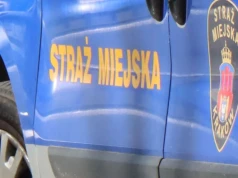 Straż miejska interweniowała setki razy. Najwięcej wykroczeń na Zakrzówku