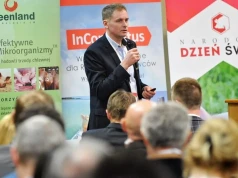 Polska importuje 8 mln prosiąt rocznie. Styburski: bez współpracy nie odbudujemy produkcji świń