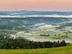 Niedźwiedzie odstraszają turystów. Poseł proponuje odszkodowania dla hoteli i pensjonatów