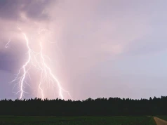 Pokazał, co błyskawica zrobiła z drzewem. Nagranie hitem sieci