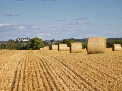 Trwają żniwa. Apel o bezpieczeństwo i wyrozumiałość dla rolników