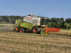 Żniwa nabierają rozpędu. Jak sypie jęczmień, pszenica czy rzepak?