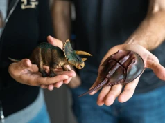 Planetoida i pył, który spalił świat dinozaurów. Są nowe wyniki badań