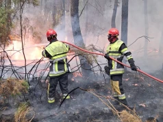 Tragedia podczas walki z żywiołem. We Francji zginął 38-letni strażak