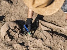 Archeolodzy odkryli ślady kanibalizmu dorosłych osobników Homo antecessor