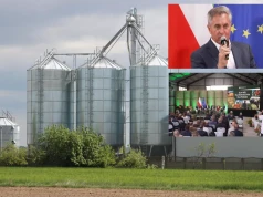 "Pomijam pośredników". Rolnik pokazuje, na czym dziś można zrobić dobry biznes