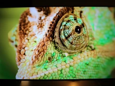 Recenzja Samsung M86H (Mini LED, 55”). TV, który nie udaje flagowca… i dobrze na tym wychodzi