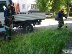 Między ekologią a wygodą. Jastrzębie szuka złotego środka w koszeniu trawników
