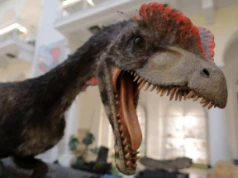 Globalna burza ogniowa mogła zakończyć erę dinozaurów