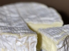 Nowy rodzaj sera pleśniowego zdobywa laury. Nie zawiera ani grama mleka