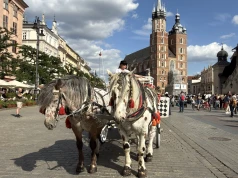 Normalnie się nie da, ale na IRONMANA się da. Dorożki znikają z Rynku Głównego na sześć dni