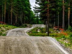 5 powodów, dla których warto oglądać Rajd Finlandii na żywo w Motowizji