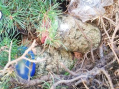 66 kilogramów narkotyków przejęte. Akcja CBZC na Podkarpaciu
