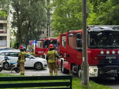 Z tym problemem krakowscy strażacy mierzą się niemal każdego dnia