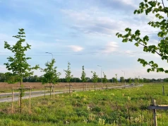 Wracają upały - ostrzeżenie meteo dla powiatu legnickiego