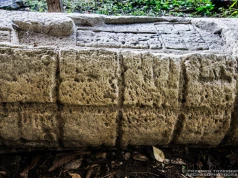 Ocalić Sak Tz’i’ od zapomnienia. Suplement fotograficzny