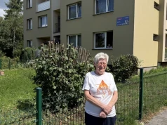 Kontrowersyjne cięcie przy ul. Cyprysowej i pozostawione kikuty. Wspólnota odpiera zarzuty