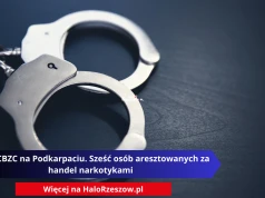 Akcja CBZC na Podkarpaciu. Sześć osób aresztowanych za handel narkotykami