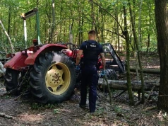 Śmiertelny wypadek podczas prac w lesie