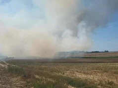 Żniwa to czas wzmożonego ryzyka. Pożary na polach nie ustają