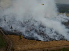 Hiszpania i Francja nadal walczą ze skutkami rekordowych pożarów