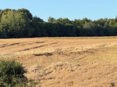 "Strach", "pojawił się śmigłowiec". Niespokojna noc na Lubelszczyźnie