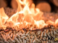 Popiół z pelletu mówi wszystko: 5 sygnałów, że palisz byle czym