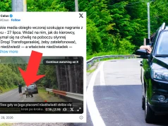 Niedźwiedź podszedł do mężczyzny na kilka centymetrów. Nagranie z Rumunii obiegło sieć