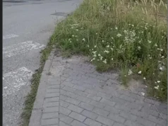 Pieszy może być niewidoczny dla kierowcy. Alarmują w sprawie przejścia na Sarnim Stoku