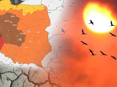 "Szkody o rozmiarach katastrof". Fala upałów nad Polską, IMGW ostrzega