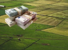 26 mln dolarów za ziemię. Rolnicy odrzucili ofertę i zaskoczyli inwestora